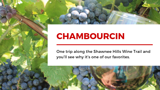 Chambourcin:  A Shawnee Hills Favorite